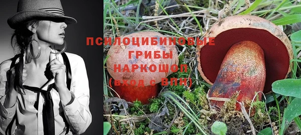 каннабис Аркадак